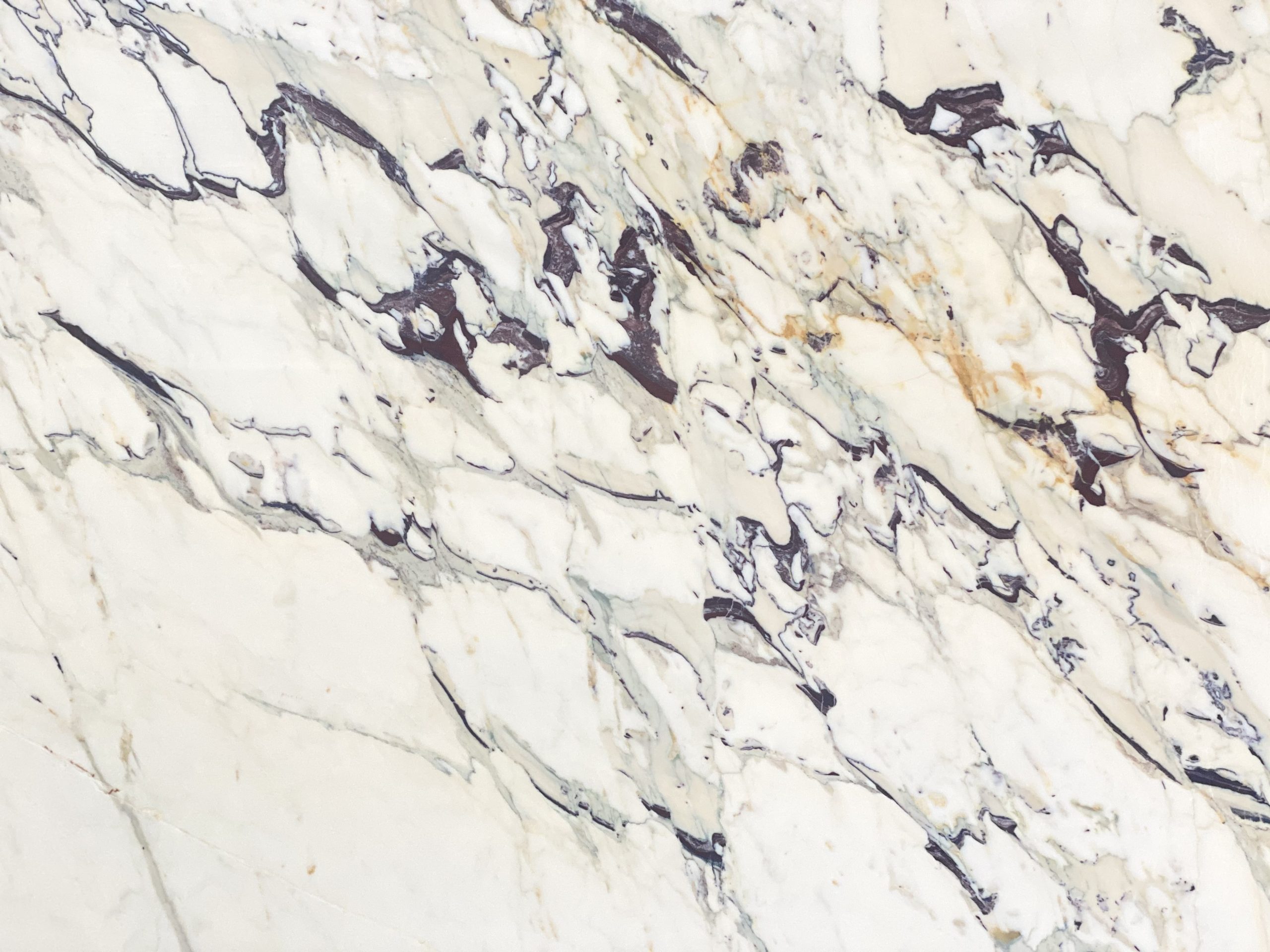 Bianco Fantastico Extra 3029 2CM