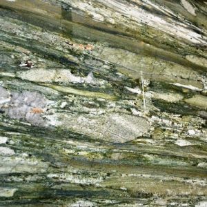 Tropical Fashion 3CM